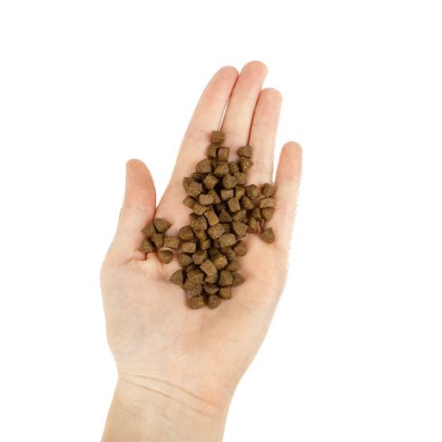 Lenda Cat Adult Farm Poultry Grain Free 2 kg