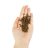 Lenda Cat Kitten Poultry & Fish Grain Free 2 kg
