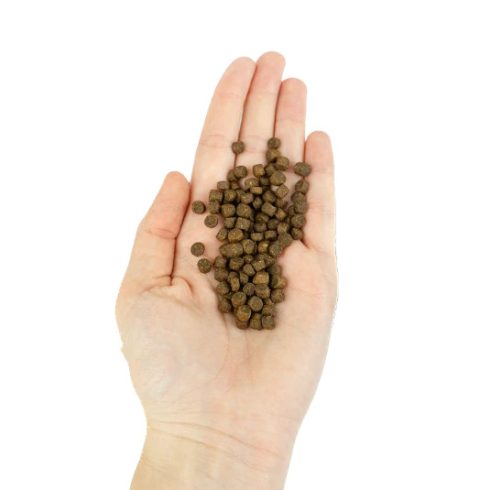 Lenda Cat Kitten Poultry & Fish Grain Free 2 kg