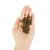 Lenda Cat Kitten Poultry & Fish Grain Free 2 kg