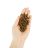 Lenda Cat Adult Light & Sterilized Grain Free 2 kg