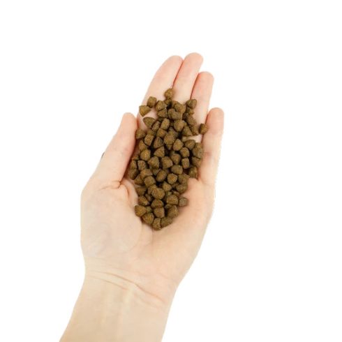 Lenda Cat Adult Light & Sterilized Grain Free 2 kg