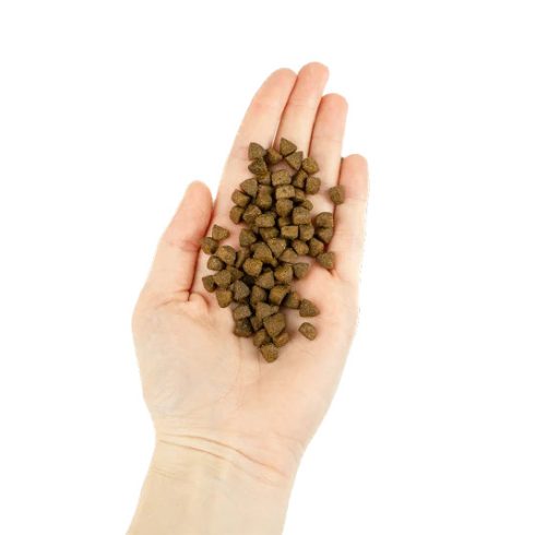 Lenda Cat Sensitive & Sterilized Grain Free 2 kg HYPO
