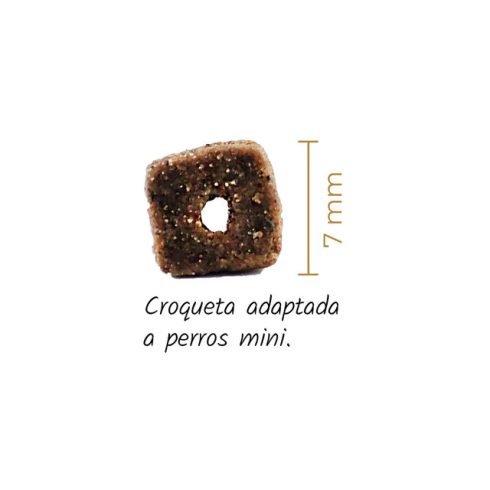Lenda Dog Mini Meat & Fish 2 kg
