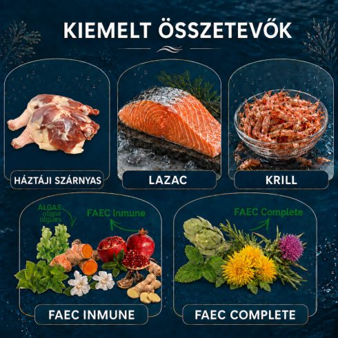 Lenda Dog Mini Meat & Fish 2 kg