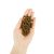Lenda Cat Adult Light & Sterilized Grain Free 7 kg