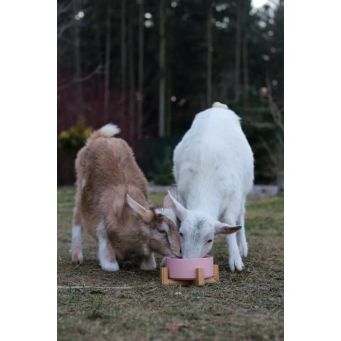 Aminela kerámiatál fa állvánnyal 750ml rózsaszín