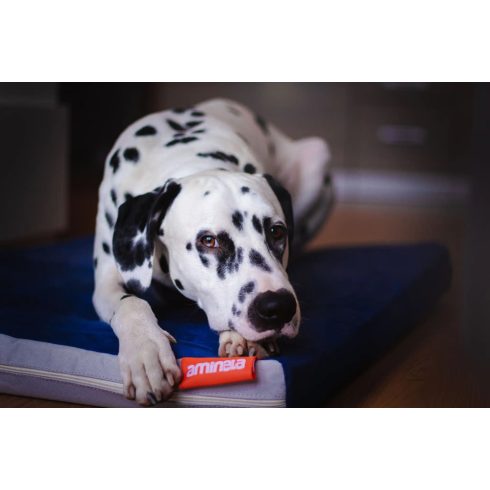 Aminela Matrac Half and Half - 100x70x10 cm szürke/világos szürke