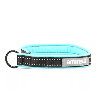   Aminela félfojtó nyakörv -Sport & City 25 mm/46 cm + 5 cm, türkiz
