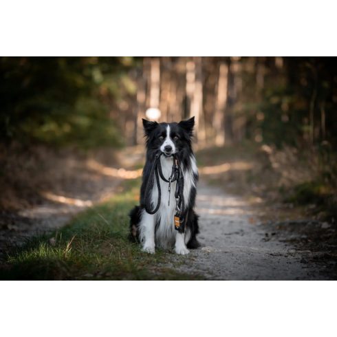 Aminela kötél póráz 12 mm/150 cm kék