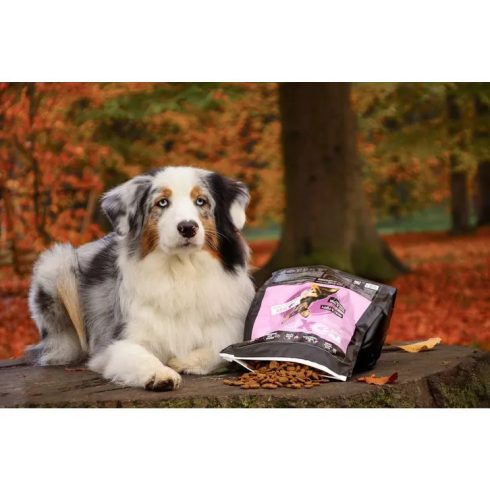 Doxneo Turkey Grain Free 12 kg