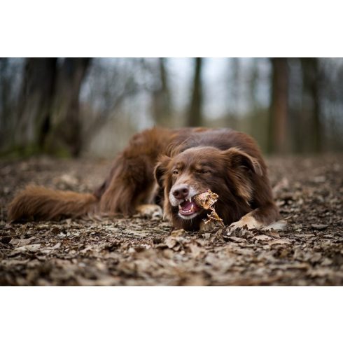 Marp Holistic Buffalo Crunchies 500 g