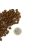 Marp CAT Holistic Chicken ALS - Csirke 2 kg