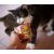 Marp CAT Holistic Filet Chicken - Csirke Filé 70 g