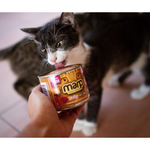 Marp CAT Holistic Filet Turkey - Pulyka Filé 70 g