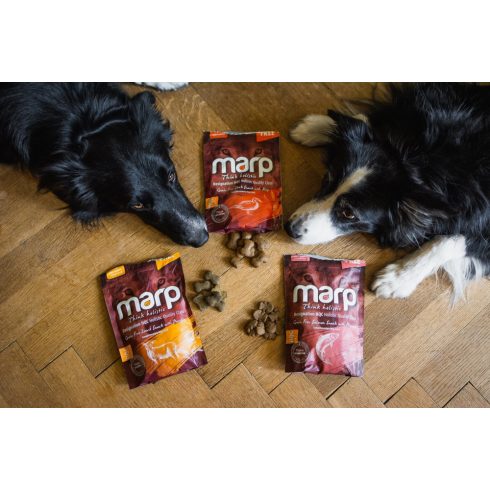 Marp Holistic Snack Salmon 150 g