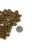 Marp CAT Holistic Indoor 2 kg