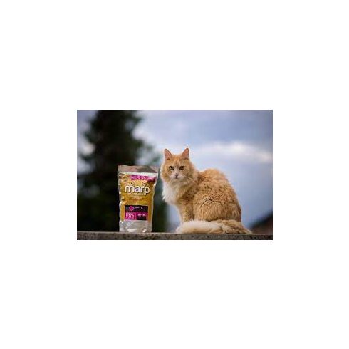 Marp CAT Holistic Indoor 0,5 kg