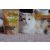 Marp CAT Holistic Fresh Poultry - Csirkés Jutalomfalat 150 g