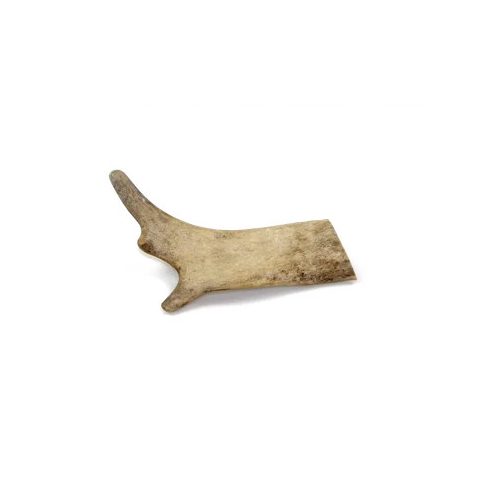 Marp Dámszarvas agancs- Fallow Deer Antlers S