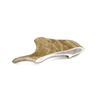 Marp Dámszarvas agancs- Fallow Deer Antlers M