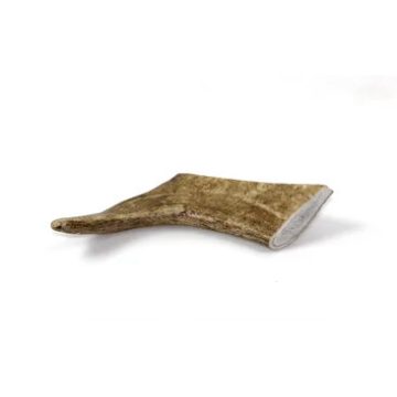 Marp Dámszarvas agancs- Fallow Deer Antlers L