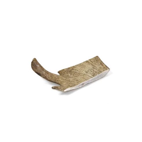 Marp Dámszarvas agancs- Fallow Deer Antlers XL