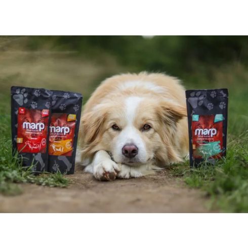 Marp Holistic Wild Moose Broth - Húsleves Vad jávorszarvas 230 ml