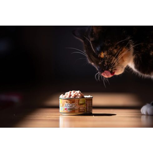 Marp CAT Holistic Plus - Nedves Chicken pate with beef flake 70 g - Csirkepástétom marhadarabokkal 70g
