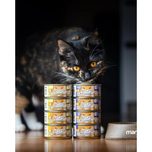 Marp CAT Holistic Plus - Nedves Chicken pate with beef flake 70 g - Csirkepástétom marhadarabokkal 70g