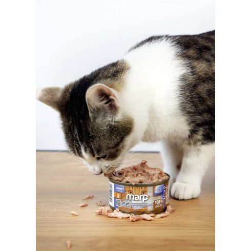 Marp CAT Holistic Plus - Nedves Tuna whole loin with sardine and blueberry in jelly 70 g - Tonhalfilé szardíniával és áfonyával zselében 70 g