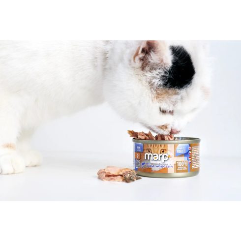 Marp CAT Holistic Plus - Nedves Tuna whole loin in broth 70 g - Tonhalfilé húslevesben 70 g