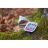   Marp Natural Plus Tray for Dogs – Turkey with Salmon - Pulyka-lazac alutálka 150g