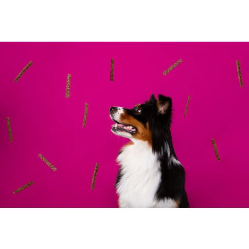 Marp Holistic Plus Turkey Stick 80 g