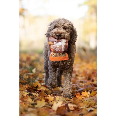 Marp Holistic Plus - Functional Mobility support 80 g