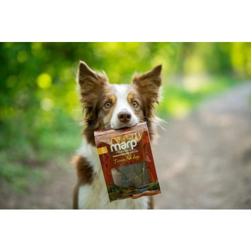 Marp Holistic Dried Venison - Szárított Szarvashús 40 g