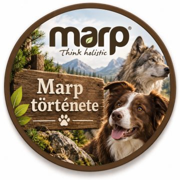 Történetünk